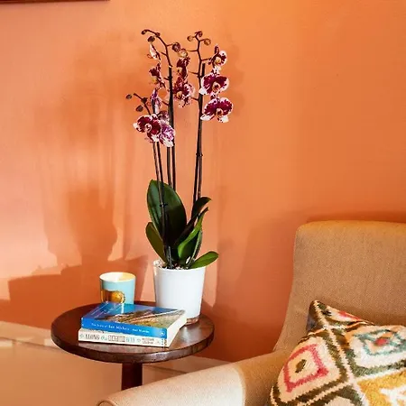 Palazzo Tiglio - A Small Luxury Of The World San Pancrazio (Arezzo)